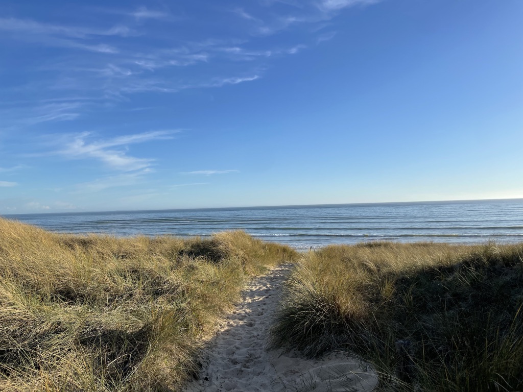 Un chemin bordé d'herbes hautes sur l’Île de Ré, invitation à ralentir et se reconnecter.