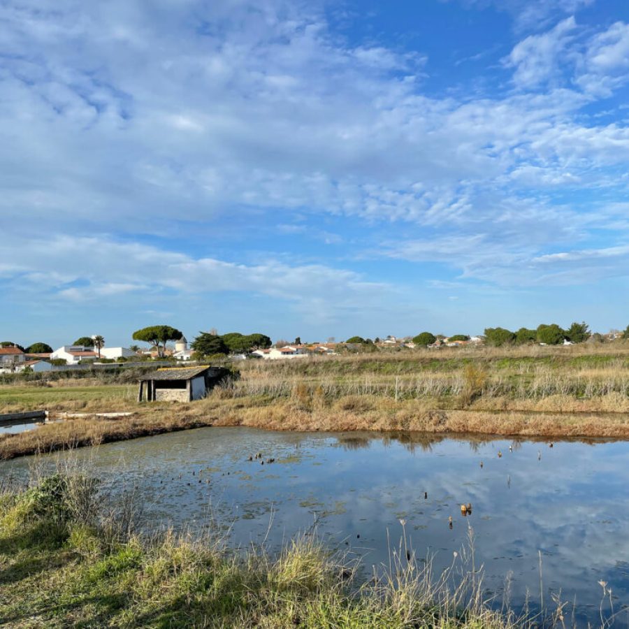 Maisons322 - Ile de Ré