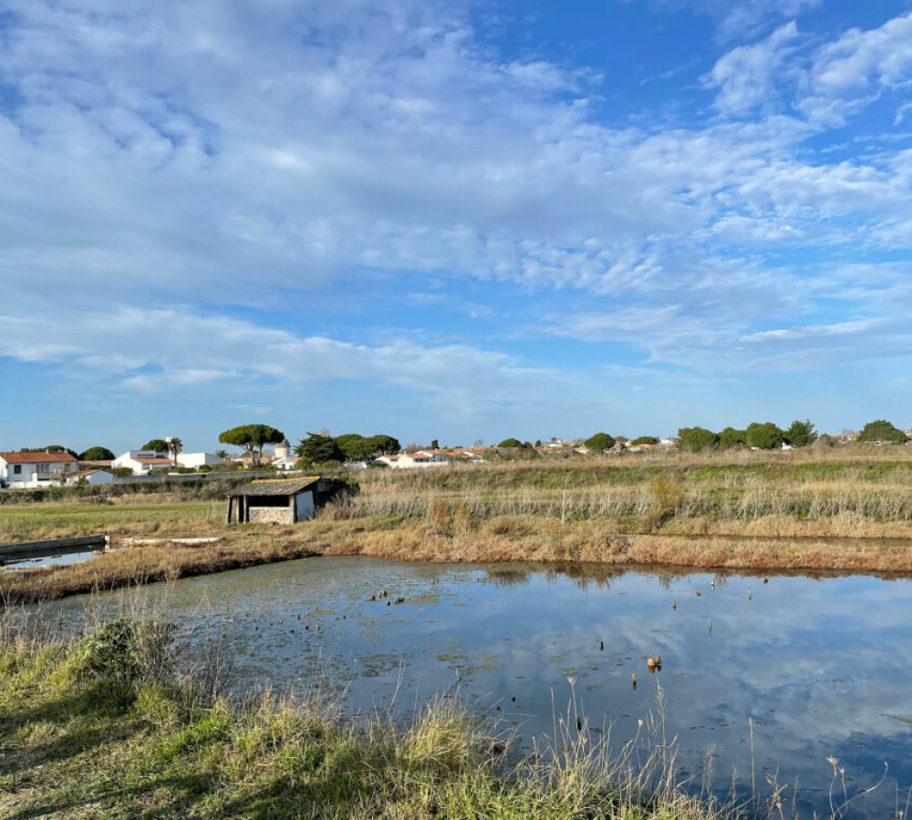 Maisons322 - Ile de Ré